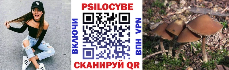 хочу   Нижняя Салда  Галлюциногенные грибы мицелий 