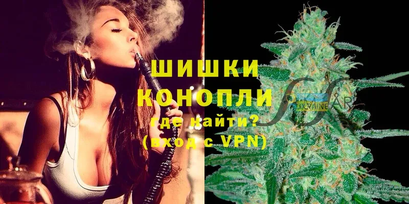 Бошки марихуана OG Kush  Нижняя Салда 